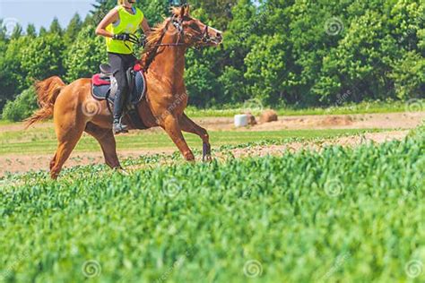 Cabalgando Videos Porno .